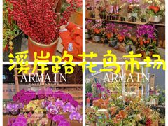 -溪岸路花鸟市场