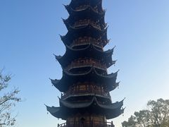 -龙华素斋(龙华路店)