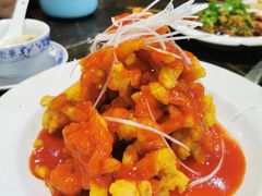 -丁月玉兔王(大渡口店)
