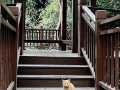 -东莞观音山旅游风景区