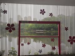 -重庆彩云湖湿地公园