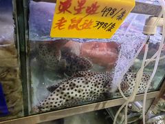 -富来美食(成发大厦店)