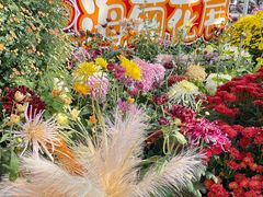 -共青国家森林公园-售票处