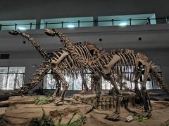 -自贡恐龙博物馆