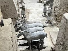 -秦始皇帝陵博物院(兵马俑)