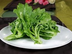 塘蒿1-新好景海鲜酒家(新塘店)