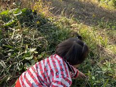 -白塘生态植物园