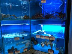 水产区-协成海鲜火锅(海洋花园店)