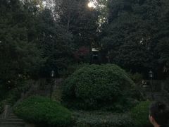 -紫金山天文台