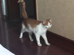 -大观园影院式足浴Spa店(沙坪坝店)