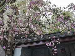 -深圳国际园林花卉博览园