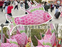 -武汉园博园(武汉自然博物馆)
