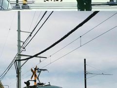 -灌篮高手动画打卡地