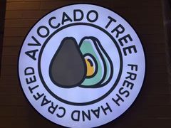 -油梨树 AVOCADO TREE(亮马桥店)