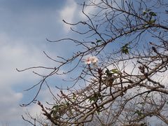 -苏州上方山国家森林公园