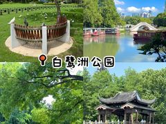 -奇芳阁·百年清真南京菜(夫子庙店)