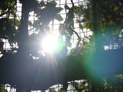 -三鹰之森吉卜力美术馆