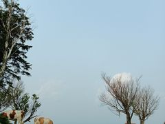 -老秃顶草原景区