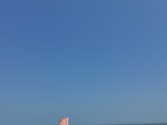 -日照海滨国家森林公园