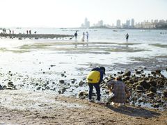 -青岛第二海水浴场