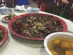 -东吴霸王兔(松青路店)