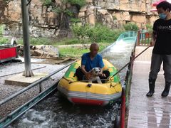 -十渡东湖港风景区