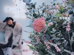 -好看加白色房子