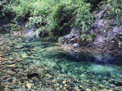 -大奇山国家森林公园