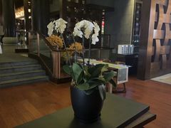 -时光吧·大堂吧·丽江和府洲际度假酒店