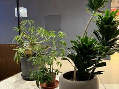 -THE WOODS 简餐 (国贸商城店)