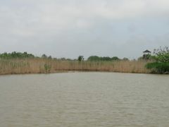 -盐城丹顶鹤湿地生态旅游区