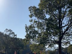 -陶祖圣境风景区