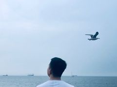 -东港音乐喷泉广场