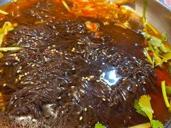 -鑫日千里马朝鲜族小馆(总店)