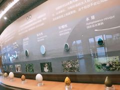 -漩门湾国家湿地公园