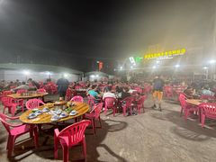 -霞姐屯昌枫木香草鸭店(海螺店)