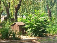 -莲花池公园