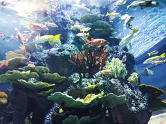 -福州罗源湾海洋世界旅游区