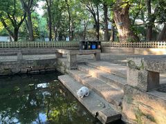 -西园戒幢律寺