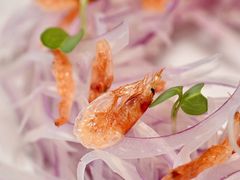 -广州富力君悦大酒店空中花园