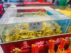 -魏铭鱼头捞饭(晋阳路店)