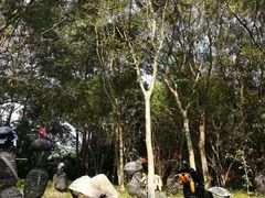 -天目湖山水园
