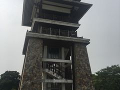 -大湾区中央湿地公园