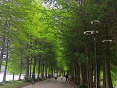 -石湖景区