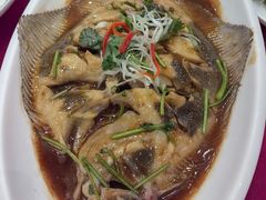 家焖多宝鱼-盈春大饭店(千山路店)
