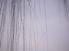 -扬州古运河