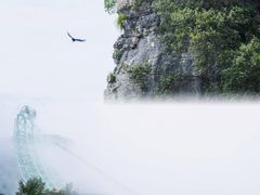 -蝶舞清江·恩施云顶景区(黄鹤峰林)