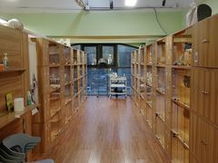 -猫十亿·布偶金渐层·曼基康矮脚猫舍(青年路店)