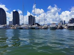 -小猫钓鱼海钓俱乐部(椰梦长廊店)