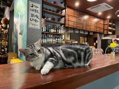 -咖法森林·咖啡  酒吧(天河店)